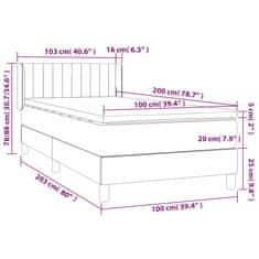 Vidaxl Box spring postelja z vzmetnico svetlo siva 100x200 cm žamet