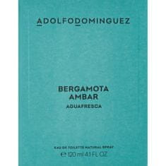 Adolfo Dominguez Moški parfum Adolfo Dominguez