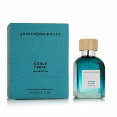 Adolfo Dominguez Moški parfum Adolfo Dominguez AGUA FRESCA EDT 120 ml