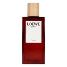 Loewe Moški parfum Loewe 110768 EDT 100 ml