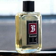 PUIG Moški parfum Puig Brummel EDC Brummel 500 ml