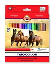 Koh-i-Noor barvice TRIOCOLOR trikotne 36 kosov