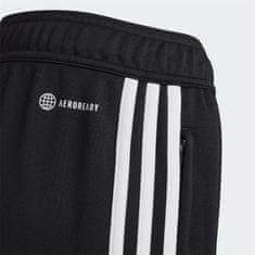 Adidas Hlače obutev za trening črna 164 - 169 cm/S Messi Track Pants