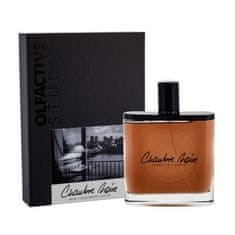 OLFACTIVE-STUDIO Chambre Noire 100 ml parfumska voda unisex