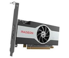 HP Grafična kartica AMD Radeon RX 6400 (4 GB)