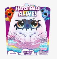 Hatchimals HATCHING INTERAKTIVNI HIŠNI ZMAJČEK