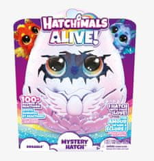 Hatchimals HATCHING INTERAKTIVNI HIŠNI ZMAJČEK