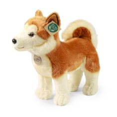 Plišasti pes Akita Inu 30 cm