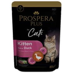 Prospera Plus Kitten, raca, zeleni fižol 85g