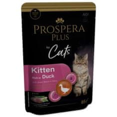 Prospera Plus Kitten, raca, zeleni fižol 85g