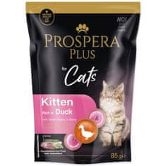 Prospera Plus Kitten, raca, zeleni fižol 85g