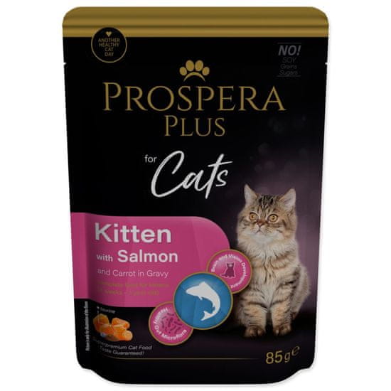 Prospera Plus Kitten, losos, korenček 85g