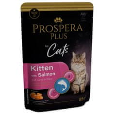 Prospera Plus Kitten, losos, korenček 85g