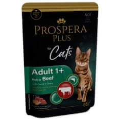 Kapsula Prospera Plus Adult 1+, govedina, korenček 85g