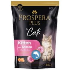 Prospera Plus Kitten, losos, korenček 85g