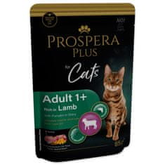 Prospera Plus Adult 1+, jagnječje meso, buče 85g