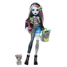 Monster High MONSTER MONSTER - FRANKIE