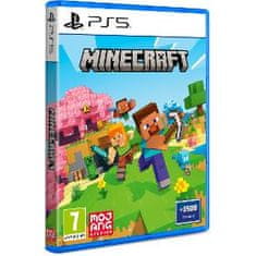 U&I Minecraft PS5