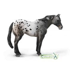 COLLECTA Appaloosa Modri ščinkavec