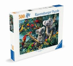 Ravensburger Koale na drevesu 500 kosov