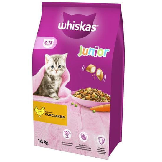 Whiskas WHISKAS Junior s piščancem - suha hrana za mačke - 14kg