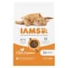 IAMS IAMS Advanced Nutrition Adult - suha hrana za mačke - 10 kg