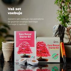 Grow Buddha Začetni set za gojenje Bonsaja, 4 vrste + 2 vrsti semen gratis