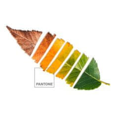 Pantone Prevleka za odejo Leaf Pantone Postelja od 150 (240 x 220 cm)