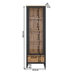 KONDELA Vitrina Lofta 1W1S - hrast wotan / črna