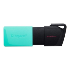 Kingston Kingston | Bliskovni disk USB | DataTraveler Exodia | 256 GB | USB 3.2 Gen 1 | Črna/vijolična