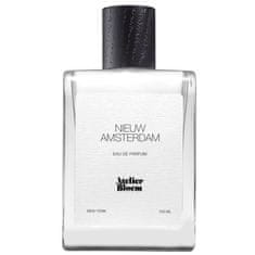 shumee Nieuw Amsterdam parfumska voda v spreju 100 ml