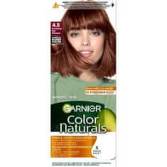 shumee Color Naturals hranilna barva za lase 4.5 Chestnut Brown