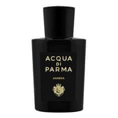 shumee Ambra parfumska voda v spreju 100 ml