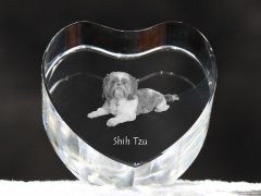 Artdog Shih Tzu, Chrysanthemum Dog - fotografija psa v kristalu, kristalno srce, edinstven foto okvir znamke Art-Dog