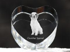 Artdog Clumber Spaniel - fotografija psa v kristalu, kristalno srce, edinstven okvir za fotografije blagovne znamke Art-Dog