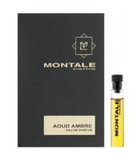 Montale Paris Aoud Ambre - EDP 2 ml - vzorec z razpršilom