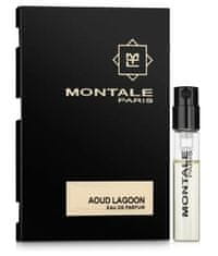 Montale Paris Aoud Lagoon - EDP 2 ml - vzorec z razpršilom