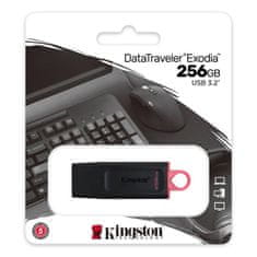 Kingston Kingston DataTraveler Exodia - Flash disk USB 3.2 256 GB