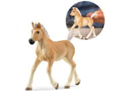 Schleich 13951 Schleich Konjeniški klub - Žrebe pasme Haflinger, figurica za otroke 5+ 