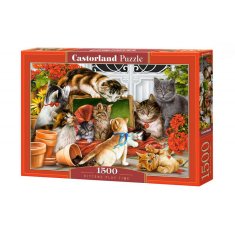 Castor Puzzle mačkoni igrajo čas 1500