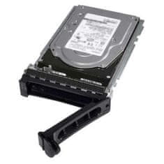 DELL Trdi Disk Dell 400-AUPW 3,5" 7200 rpm 1 TB