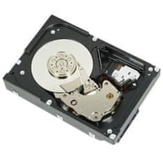 DELL Trdi Disk Dell 400-AUPW 3,5" 7200 rpm 1 TB