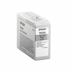 Epson Katuša s Črnilom Izvirna Epson C13T850900 Črna