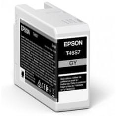 Epson Katuša s Črnilom Izvirna Epson C13T46S700 25 ml Črna Siva