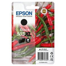 Epson Katuša s Črnilom Izvirna Epson C13T09R14020 Črna