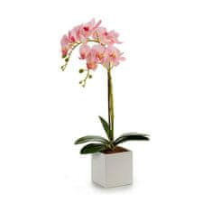 IBERGARDEN	 Dekorativna rastlina Orhideja 18 x 47 x 14 cm Plastika (6 kosov)