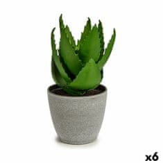 IBERGARDEN	 Dekorativna rastlina Aloe Vera 15 x 23,5 x 15 cm Siva Zelena Plastika (6 kosov)