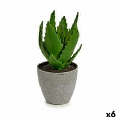 IBERGARDEN	 Dekorativna rastlina Aloe Vera 14 x 21 x 14 cm Siva Zelena Plastika (6 kosov)