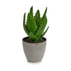 IBERGARDEN	 Dekorativna rastlina Aloe Vera 14 x 21 x 14 cm Siva Zelena Plastika (6 kosov)