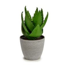 IBERGARDEN	 Dekorativna rastlina Aloe Vera 15 x 23,5 x 15 cm Siva Zelena Plastika (6 kosov)